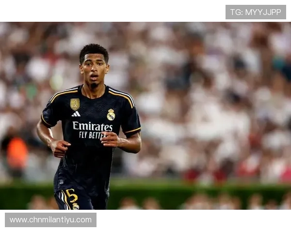 快速掌握米兰官网注册技巧提升账号注册效率指南